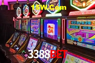 3388Bet - User Statistics